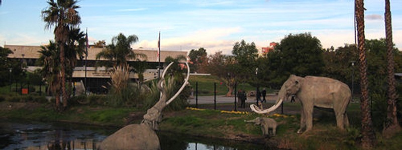 la brea tar pits