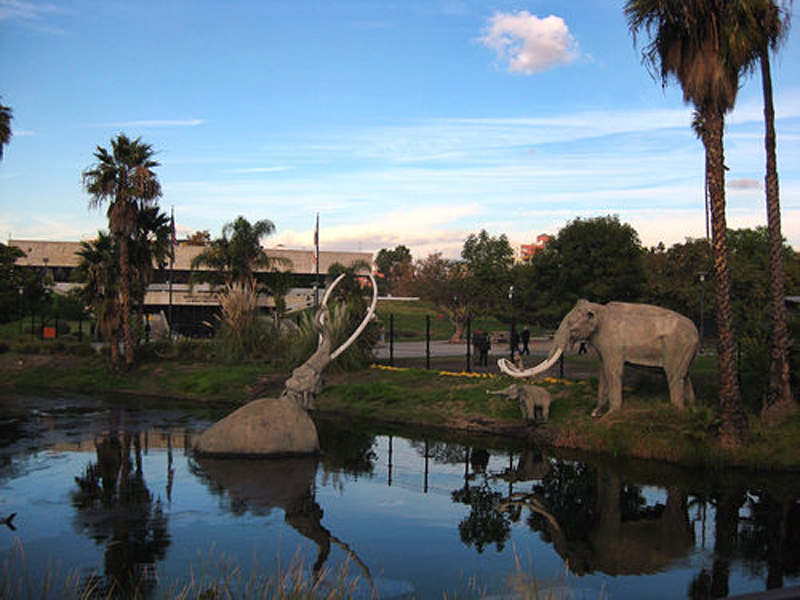 la brea tar pits