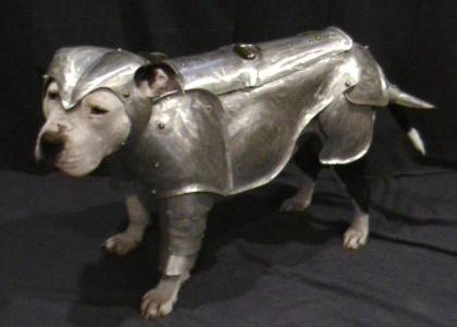 pitbull in armor